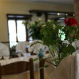Narciso Comida