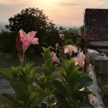 La Costa Agriturismo outside
