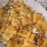 Pesce Balocco Nourriture