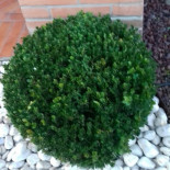 Bio Farm Spineto Nourriture