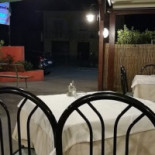 A Paranza Dentro