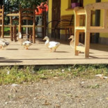Fossati Outside