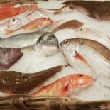 Muraglia Comida