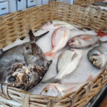 Muraglia Comida