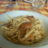 Sole Nourriture