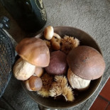 La Baracca Nourriture