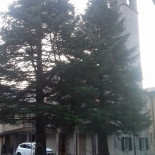 Antica Trattoria Breve Respiro food