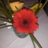 Edera Essen