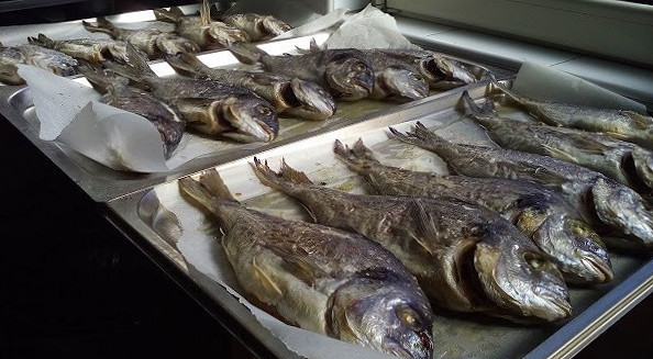 Riva Comida