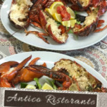 Antico Nourriture