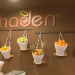 Haden Food