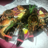 Da Lisa Comida