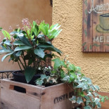 Torrefazione Moka food