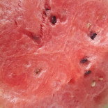 Edenatura Nourriture
