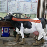 Obelix Cafe Extérieur
