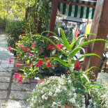 Antica Societa Exterior