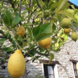 Agriturismo Case Romane Nourriture