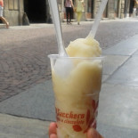Sacchero Nourriture