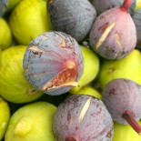 Fiordipanna food