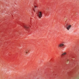 Eden Food