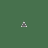 Caffe' Ruvolo Nourriture