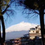 Dolce Amaro Nourriture