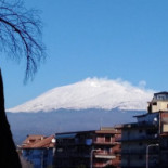 Dolce Amaro Nourriture