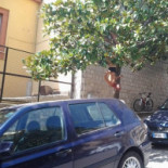 Pasticceria Di Noto Extérieur