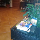 Le Muse Noto Comida