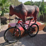 El Torero Extérieur
