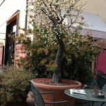 Pasticceria Lilli À l'intérieur