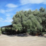 Agriturismo Su Cuile Exterior