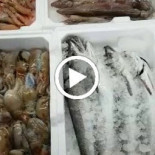 Pescheria E Cucina Comida