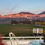 Il Roseto food