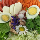 Utia De Bioch food