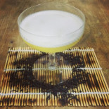 Apotheke Cocktail Dentro