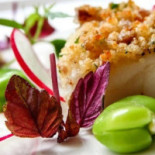 Restaurant Tapas Bar The Gallery Nourriture