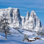 Villa Madonna Nourriture
