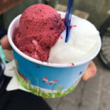 Gelateria Pia food