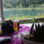 Fischteich Brugg Comida