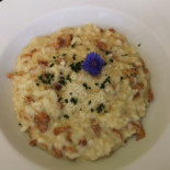 Fischteich Brugg Comida