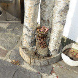 Morx Puite Stuls In Passeier Dentro