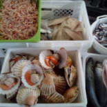 Primopiano Food