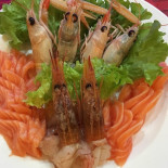 Eurasia-sushi food