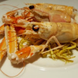 Globe Cibo