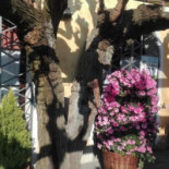 Al Morer Di Silvestrini Extérieur