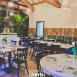 Herb Cittadella food