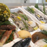 Fish Go Nourriture