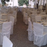 Colleoli Nourriture