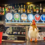 Chicken House Comida